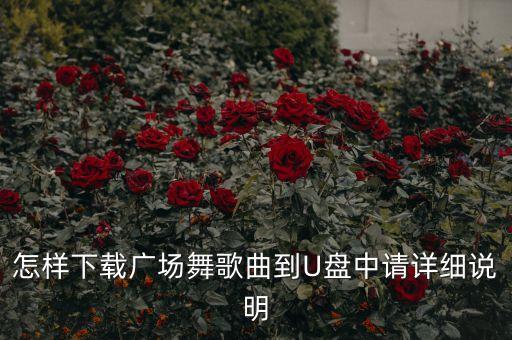 怎样下载广场舞歌曲到U盘中请详细说明