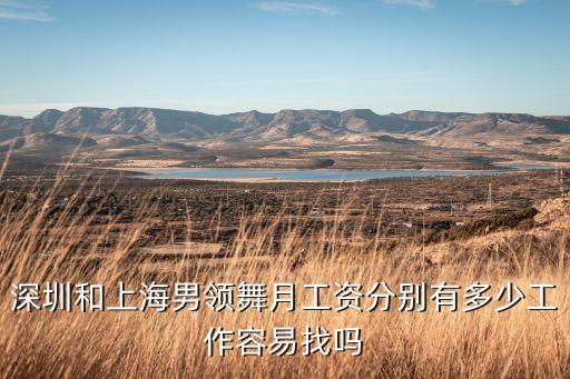 深圳和上海男领舞月工资分别有多少工作容易找吗