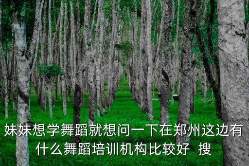 妹妹想学舞蹈就想问一下在郑州这边有什么舞蹈培训机构比较好  搜