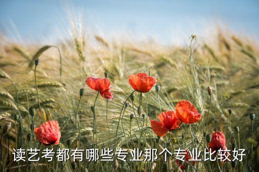 舞蹈艺考生能选的专业，考艺术类的选哪些专业好