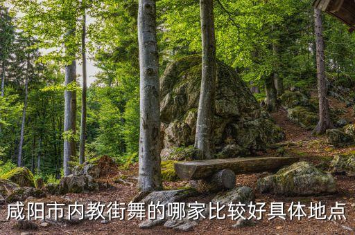 咸阳市内教街舞的哪家比较好具体地点