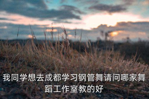 我同学想去成都学习钢管舞请问哪家舞蹈工作室教的好