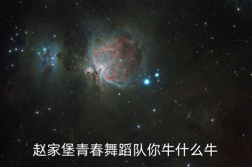 赵家堡青春舞蹈队你牛什么牛