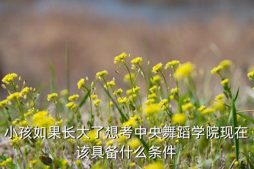 考舞蹈大学有什么要求，考舞蹈院校有哪些规定