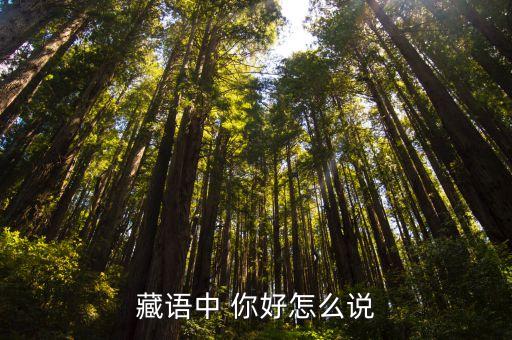 藏语中 你好怎么说