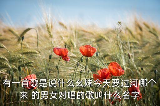 有一首歌是说什么幺妹今天要过河哪个来 的男女对唱的歌叫什么名字