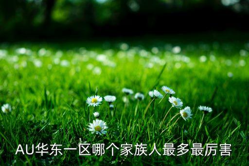 AU华东一区哪个家族人最多最厉害