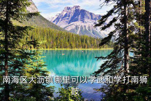南海区大沥镇哪里可以学武和学打南狮鼓