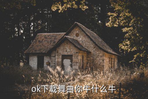 ok下载舞曲你牛什么牛