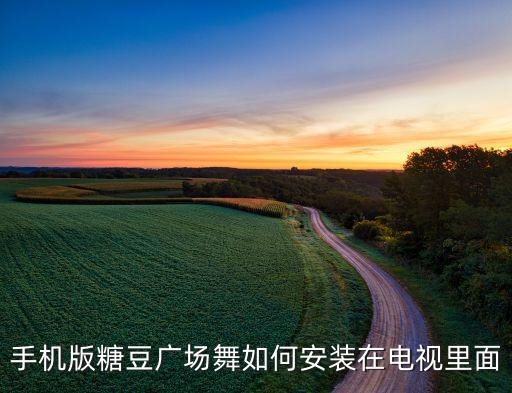 手机版糖豆广场舞如何安装在电视里面