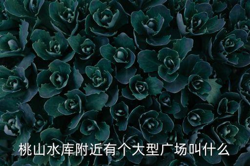 桃山水库附近有个大型广场叫什么