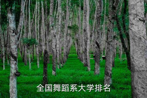 有什么舞蹈大学，全国舞蹈系大学排名