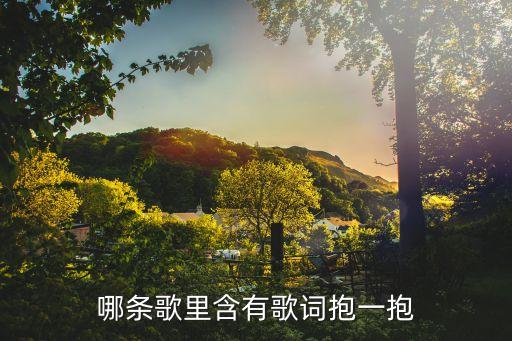 哪条歌里含有歌词抱一抱