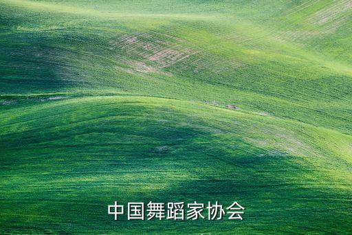 舞蹈考级横幅怎么写，五一准备举办舞蹈比赛唱歌比赛宣传横幅怎么写