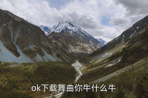 ok下载舞曲你牛什么牛