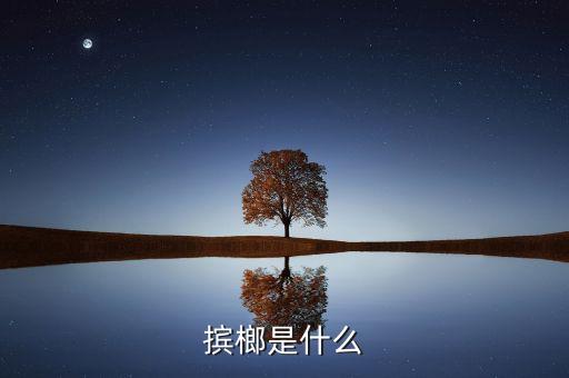 摈榔是什么