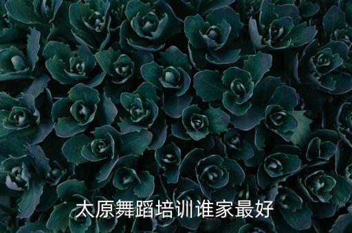 太原舞蹈培训谁家最好