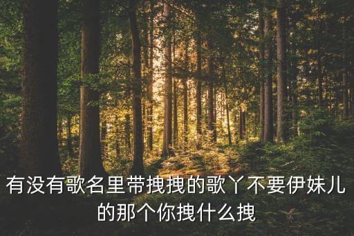 乔茜你拽什么拽，你拽什么拽歌曲