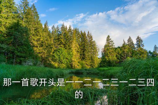 那一首歌开头是一一二一二三一二三四的