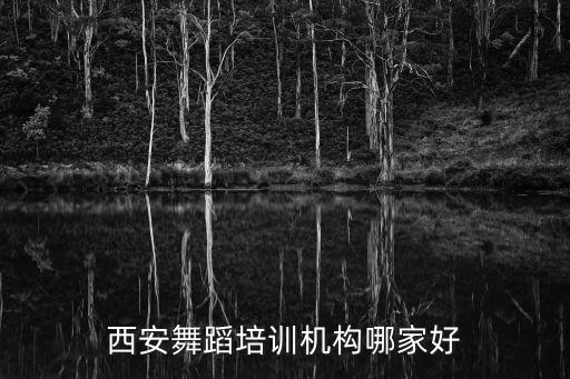 西安舞蹈培训机构哪家好