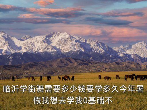 高二开始学舞蹈大概多少钱，我是一名高二学生想开始学舞蹈从现在找老师学到高考需要多少的