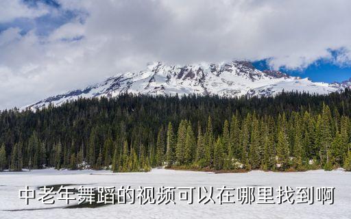 中老年舞蹈的视频可以在哪里找到啊
