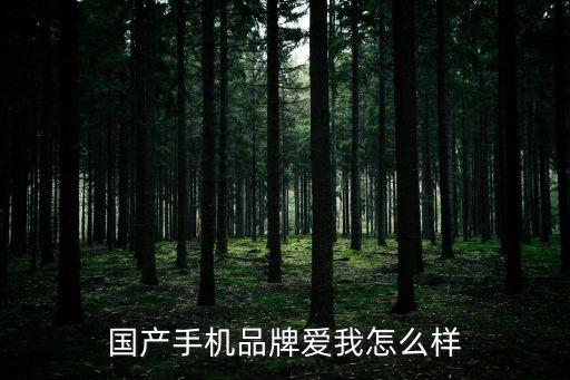 国产手机品牌爱我怎么样