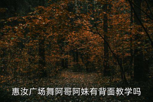 广场舞阿哥阿妹32步分解，公务员17305288 怎么做