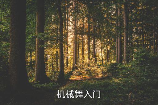 机械舞入门