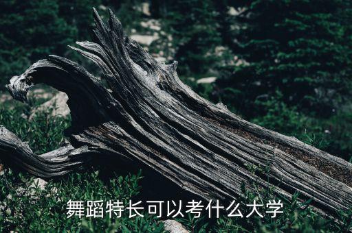 舞蹈特长可以考什么大学