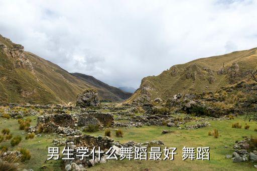 男孩子学什么舞蹈好，男生学什么舞蹈最好 舞蹈