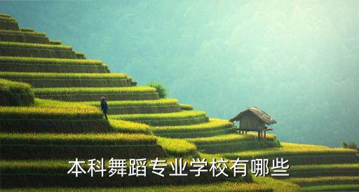 舞蹈学院排名前十的有哪些，全国舞蹈系大学排名
