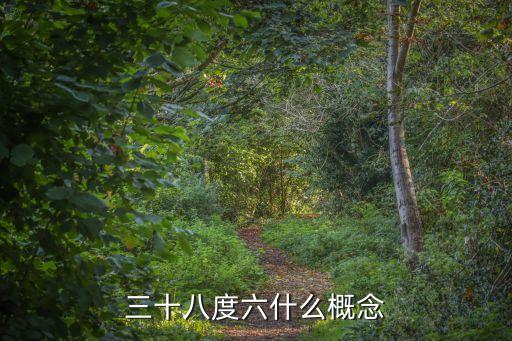 三十八度六什么概念