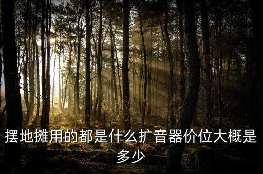 摆地摊用的都是什么扩音器价位大概是多少
