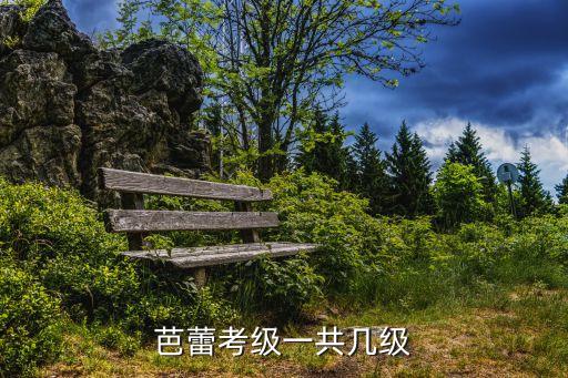 八级舞蹈考级有哪些，舞蹈考级怎么考