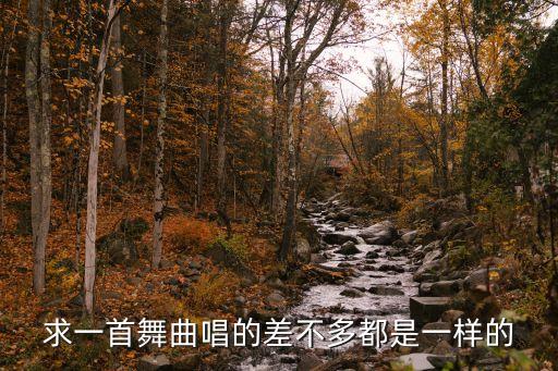 求一首舞曲唱的差不多都是一样的