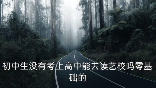 初中生没有考上高中能去读艺校吗零基础的