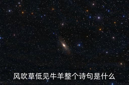 风吹草低见牛羊整个诗句是什么