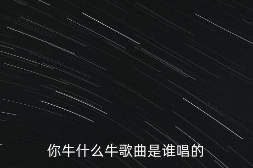 你牛什么牛歌曲是谁唱的