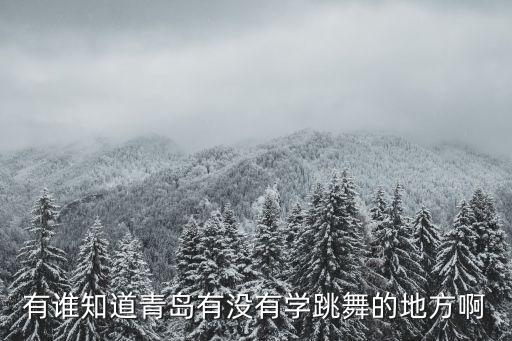 有谁知道青岛有没有学跳舞的地方啊