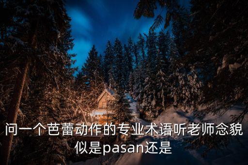 问一个芭蕾动作的专业术语听老师念貌似是pasan还是