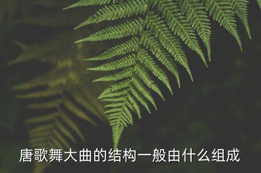 唐歌舞大曲的结构一般由什么组成