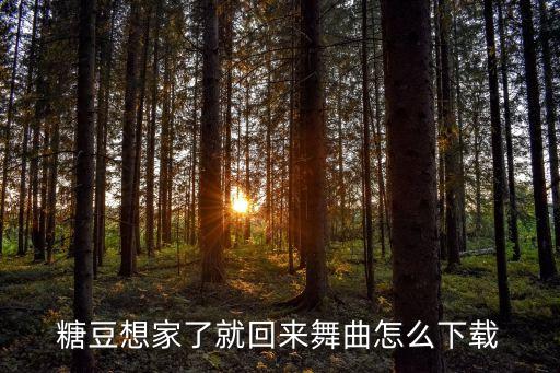 糖豆广场舞里的音乐怎么下载，广场舞歌曲怎么下载到U盘