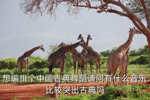 想编排个中国古典舞蹈请问有什么音乐比较突出古典吗