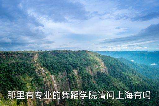 上海舞蹈学校电话号码，那里有专业的舞蹈学院请问上海有吗
