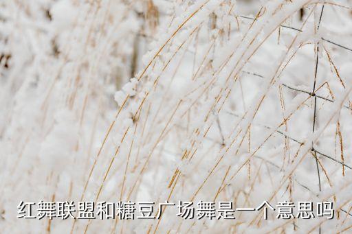 红舞联盟和糖豆广场舞是一个意思吗