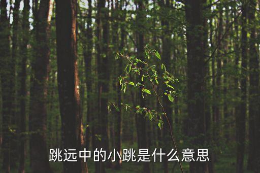 小跳训练目的是什么意思，什么是小跳步
