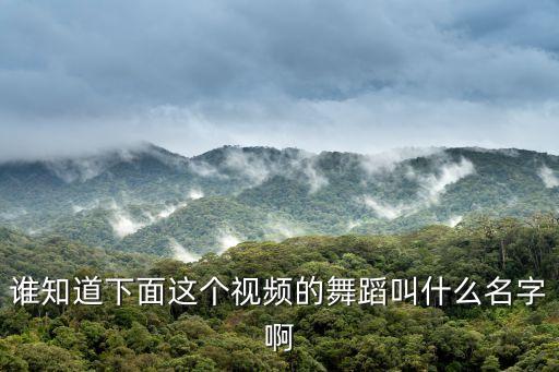 谁知道下面这个视频的舞蹈叫什么名字啊