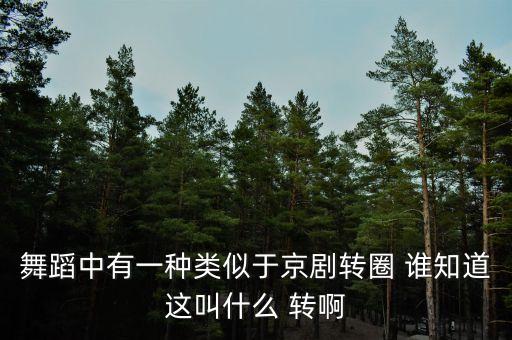 舞蹈中有一种类似于京剧转圈 谁知道这叫什么 转啊