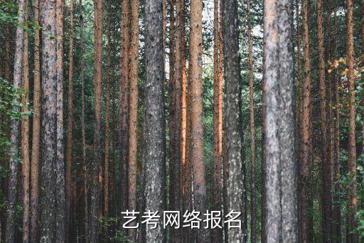 艺考网络报名